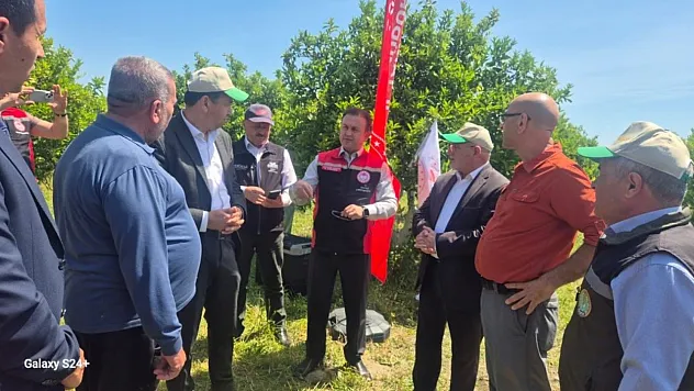 Tarımda Kimyasal Kullanımı Azaltacak Yeni Proje Muğla'da Hayata Geçiyor