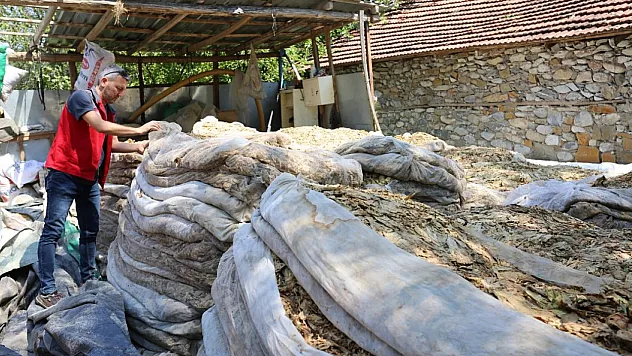 Tarımsal Hasar Tespitleri Yapıldı