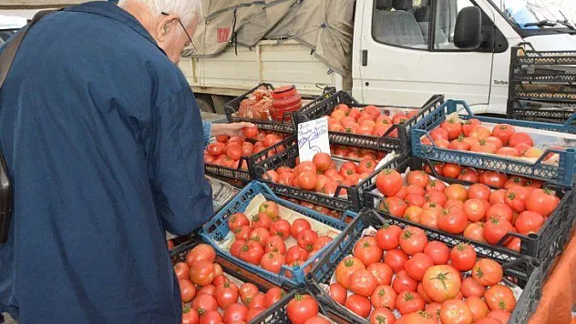 Tarla domatesi rağbet görüyor