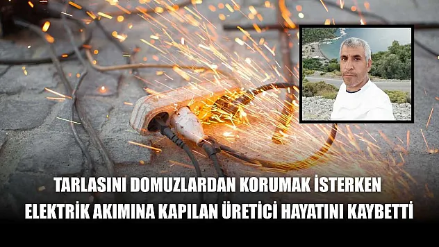 Tarlasını domuzlardan korumak isterken elektrik akımına kapılan üretici hayatını kaybetti