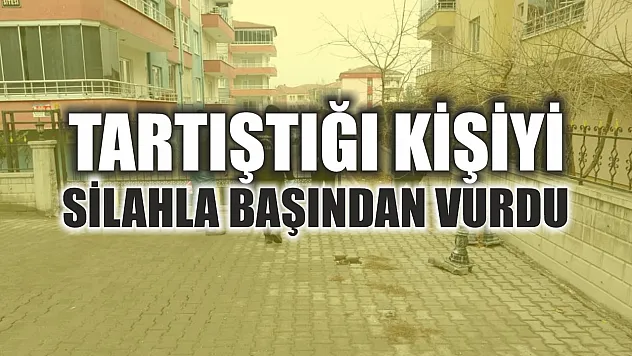 Tartıştığı kişiyi silahla başından vurdu