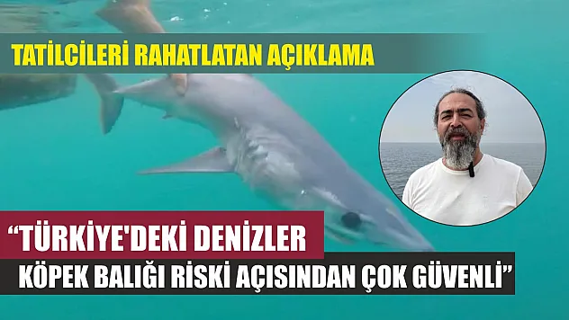 Tatilcileri rahatlatan açıklama: 'Türkiye'deki denizler, köpek balığı riski açısından çok güvenli'