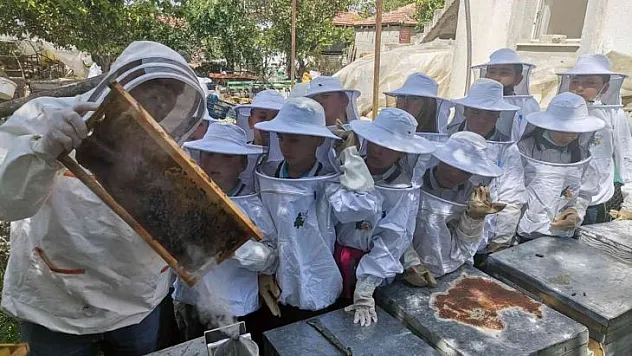 Tatile 'Doğa Dostu' olarak girdiler