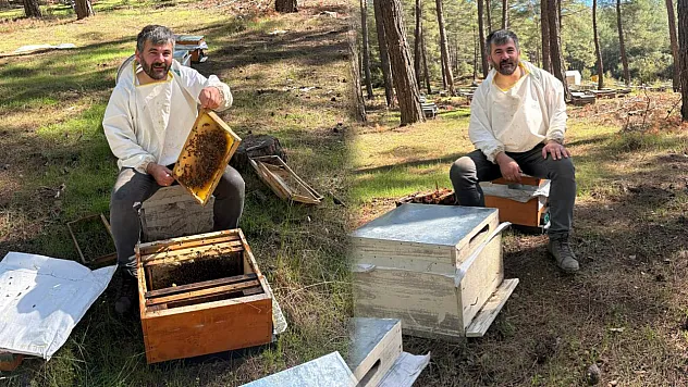 Tecrübeli arıcıdan bal tavsiyeleri: 'Mevzuata uygun her bal, en kaliteli bal değildir'