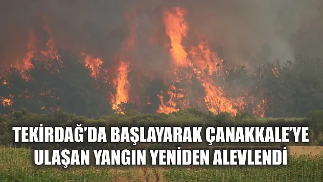 Tekirdağ'da başlayarak Çanakkale'ye ulaşan yangın yeniden alevlendi
