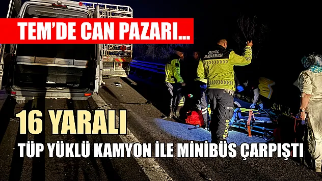 TEM'de can pazarı... Tüp yüklü kamyon ile minibüs çarpıştı: 16 yaralı