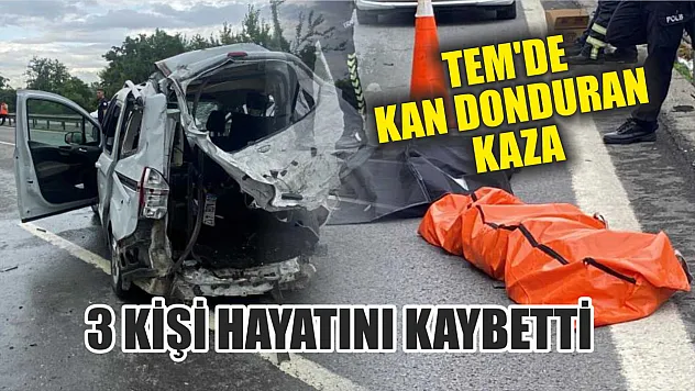 TEM'de Kan Donduran Kaza: 3 kişi Hayatını Kaybetti