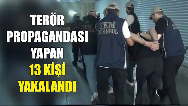 Terör propagandası yapan 13 kişi yakalandı
