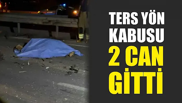 Ters Yön Kabusu: 2 Can Gitti