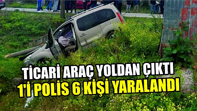 Ticari araç yoldan çıktı 1'i polis 6 kişi yaralandı