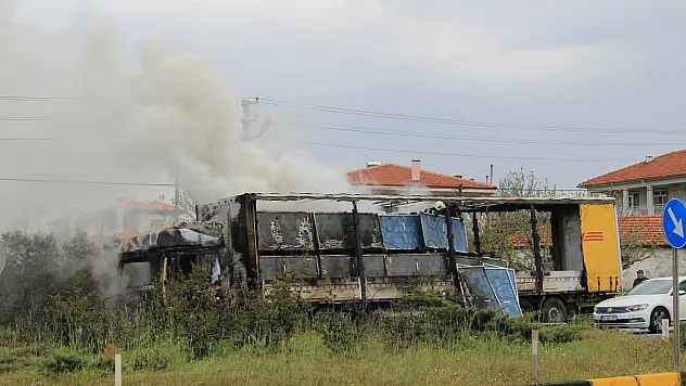 Tır milyon dolarlık yükü ile birlikte yandı