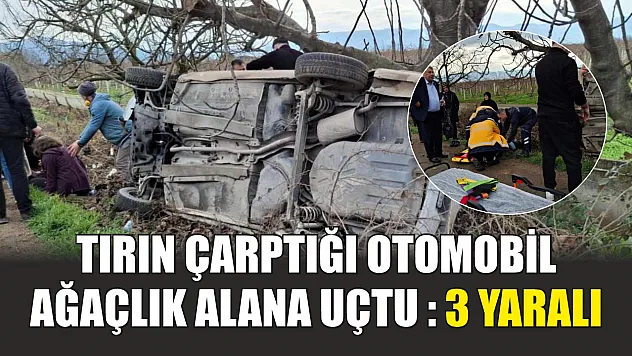Tırın çarptığı otomobil ağaçlık alana uçtu : 3 yaralı