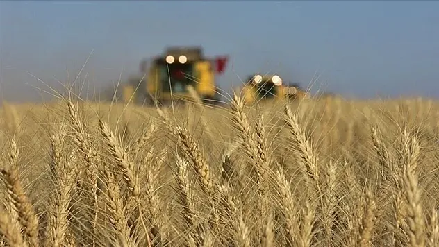 TMO hububat ve haşhaş kapsülü alım ödemelerine devam ediyor