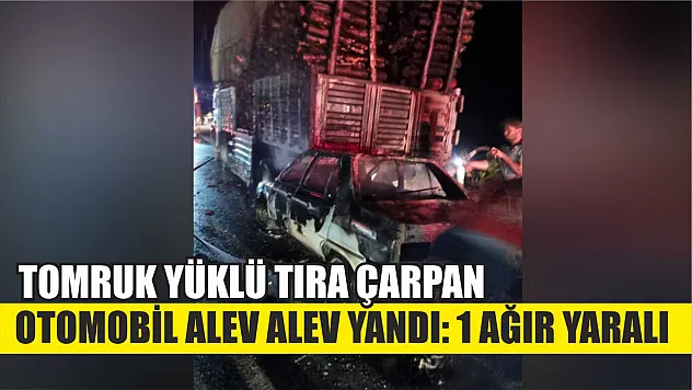 Tomruk yüklü tıra çarpan otomobil alev alev yandı: 1 ağır yaralı
