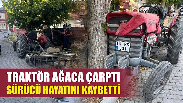 Traktör ağaca çarptı, sürücü hayatını kaybetti