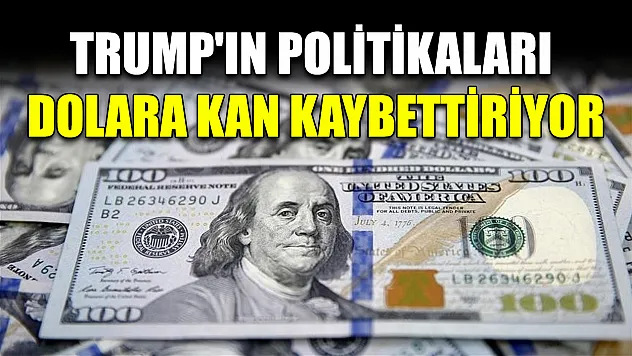 Trump'ın politikaları dolara kan kaybettiriyor