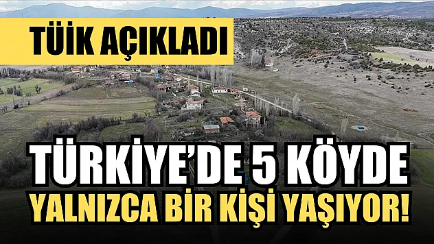 TÜİK açıkladı: Türkiye'de 5 köyde yalnızca bir kişi yaşıyor!