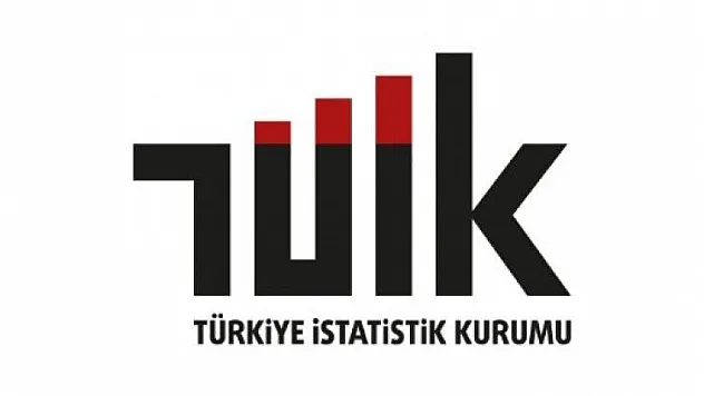 TÜİK'ten tepki gören 15 yaş verisi