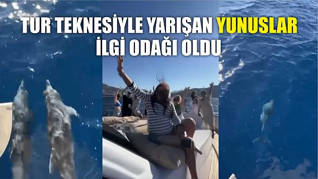 Tur Teknesiyle Yarışan Yunuslar İlgi Odağı Oldu