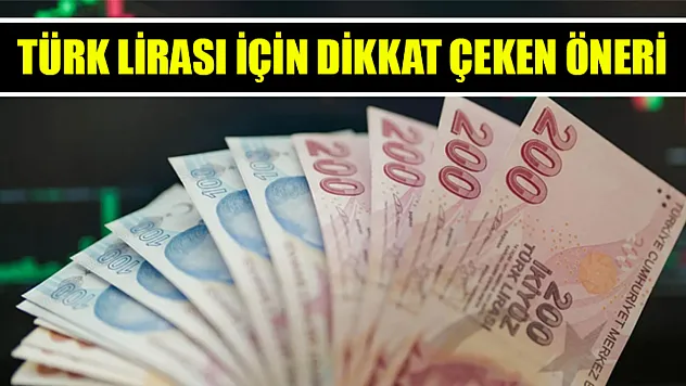 Türk lirası için dikkat çeken öneri