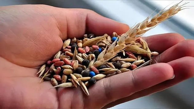 Türk tohumculuğu Asya ile Avrupa arasında büyüyor