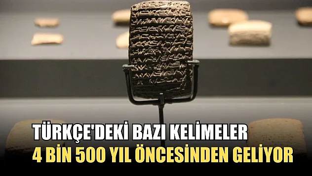Türkçe'deki bazı kelimeler, 4 bin 500 yıl öncesinden geliyor