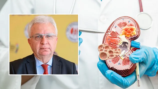 Türkiye'de 10 milyon kişi böbrek hastalığı riski altında