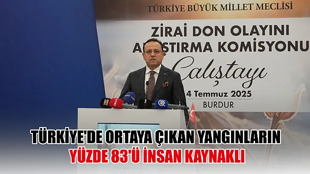 Türkiye'de ortaya çıkan yangınların yüzde 83'ü insan kaynaklı