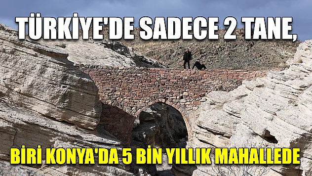 Türkiye'de sadece 2 tane, biri Konya'da 5 bin yıllık mahallede