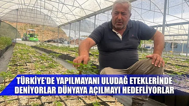 Türkiye'de yapılmayanı Uludağ eteklerinde deniyorlar dünyaya açılmayı hedefliyorlar