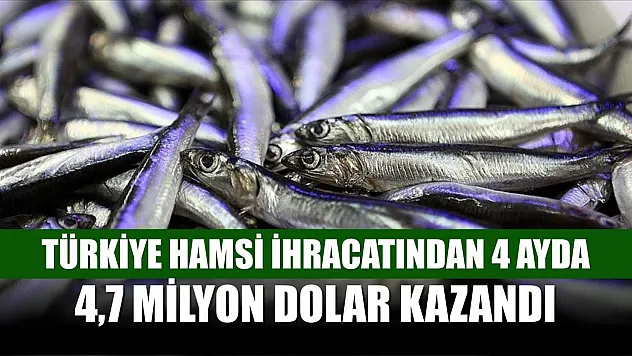 Türkiye hamsi ihracatından 4 ayda 4,7 milyon dolar kazandı