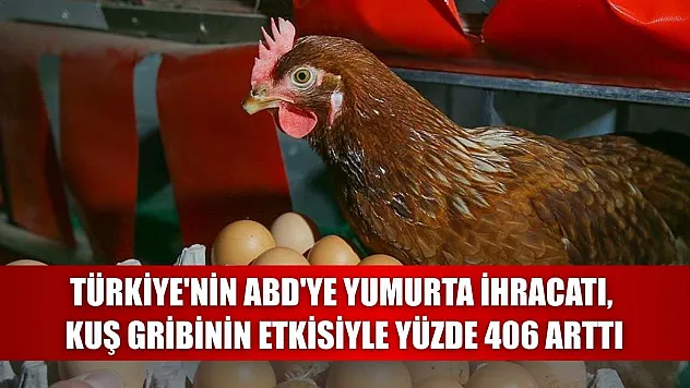 Türkiye'nin ABD'ye yumurta ihracatı, kuş gribinin etkisiyle yüzde 406 arttı