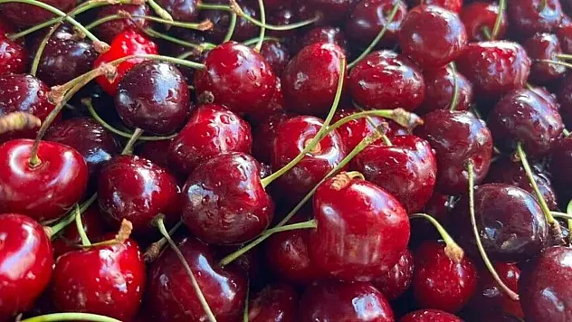 Türkiye'nin kiraz ve vişne ihracatı ilk yarıda 100 milyon doları aştı