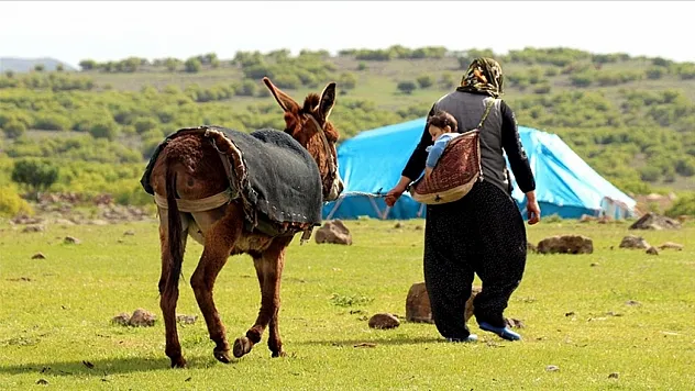 Türkiye'nin nüfusu artarken kırsalda yaşayanların nüfusu azalıyor