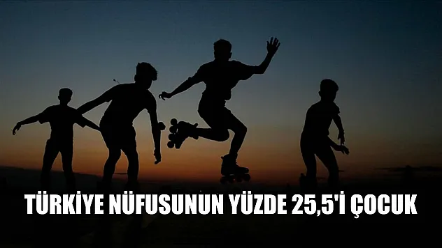 Türkiye nüfusunun yüzde 25,5'i çocuk