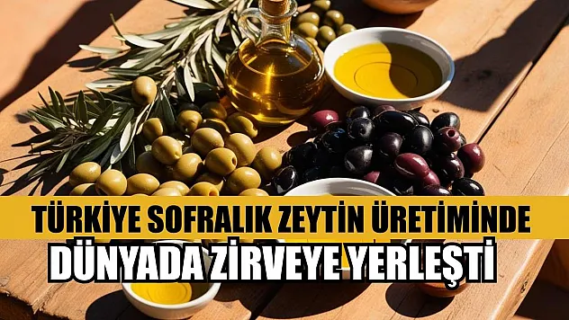 Türkiye sofralık zeytin üretiminde dünyada zirveye yerleşti