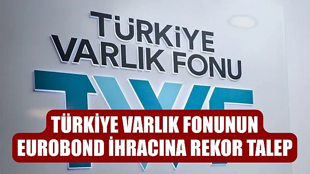 Türkiye Varlık Fonunun eurobond ihracına rekor talep