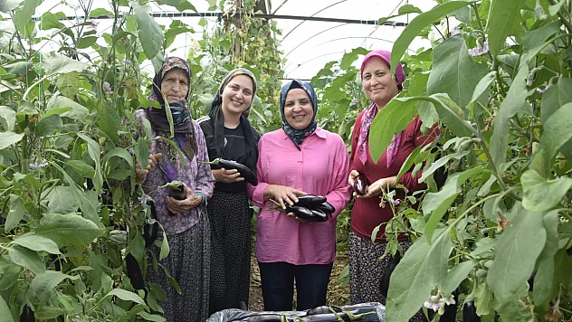Üç kuşak kadın serada: Nineden toruna hem üretime hem aile ekonomisine katkı sağlıyorlar
