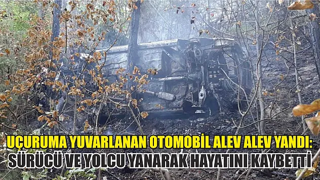 Uçuruma yuvarlanan otomobil alev alev yandı: Sürücü ve yolcu yanarak hayatını kaybetti