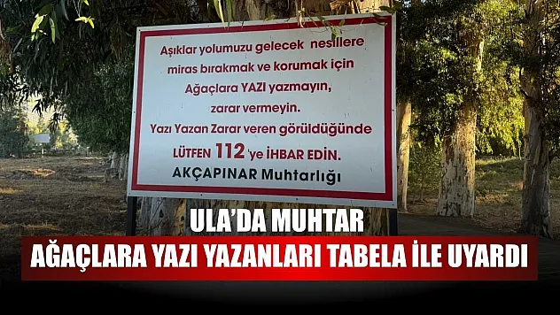 Ula'da muhtar ağaçlara yazı yazanları tabela ile uyardı