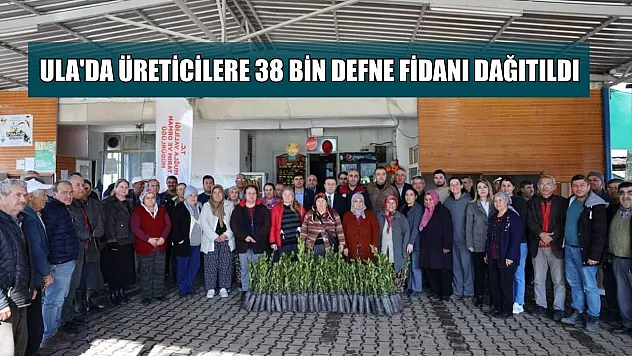 Ula'da üreticilere 38 bin defne fidanı dağıtıldı