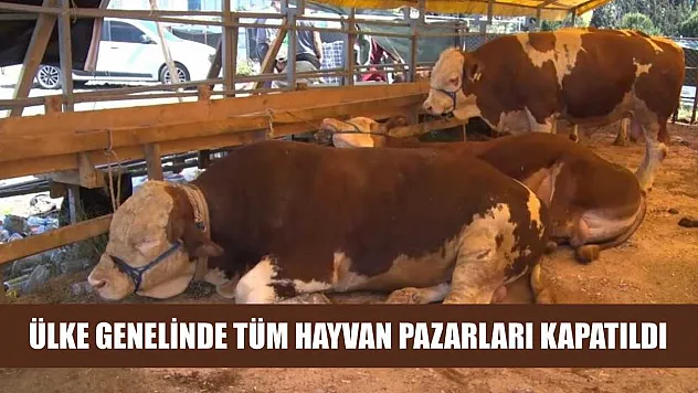 Ülke genelinde tüm hayvan pazarları kapatıldı