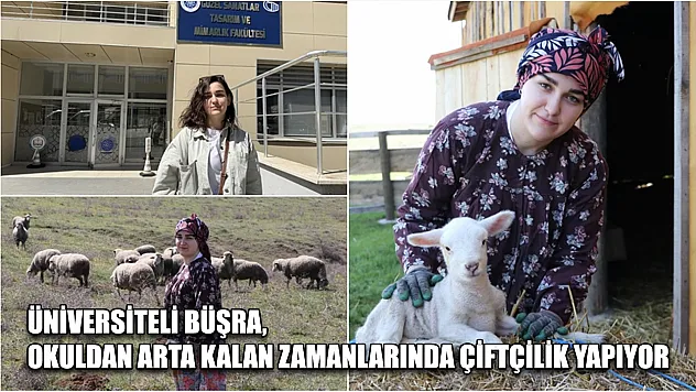 Üniversiteli Büşra, okuldan arta kalan zamanlarında çiftçilik yapıyor