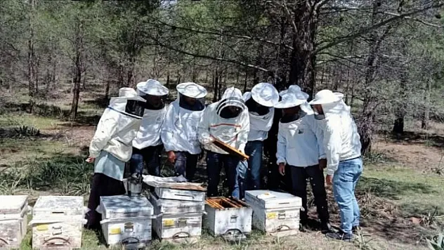 Uygulamalı arıcılık kursu düzenlendi