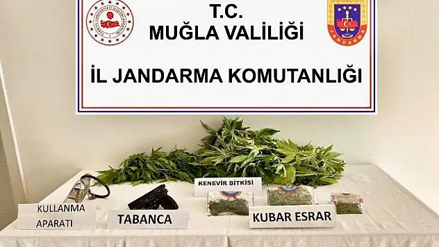 Uyuşturucu operasyonunda 1 gözaltı