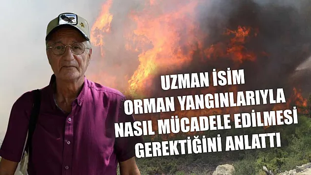 Uzman isim orman yangınlarıyla nasıl mücadele edilmesi gerektiğini anlattı