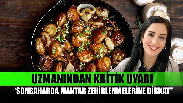 Uzmanından kritik uyarı: 'Sonbaharda mantar zehirlenmelerine dikkat'