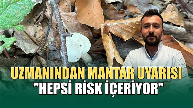Uzmanından mantar uyarısı: 'Hepsi risk içeriyor'