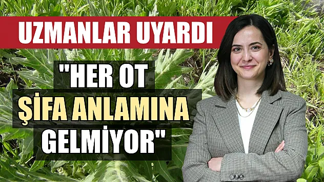 Uzmanlar uyardı: 'Her ot şifa anlamına gelmiyor'