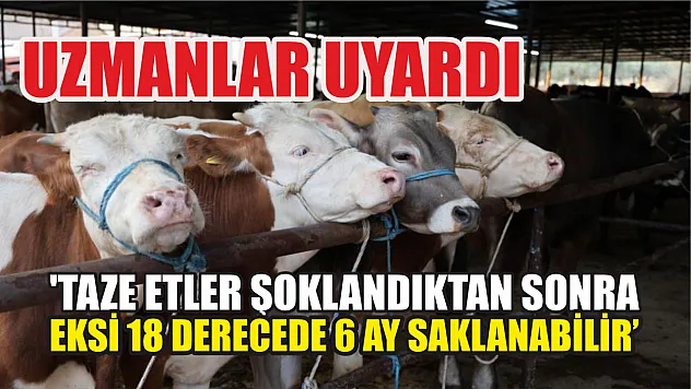 Uzmanlar uyardı: 'Taze etler şoklandıktan sonra eksi 18 derecede 6 ay saklanabilir'